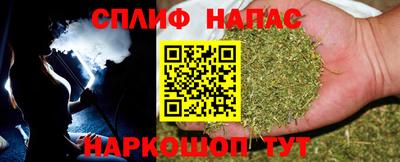 молекула духа Донской