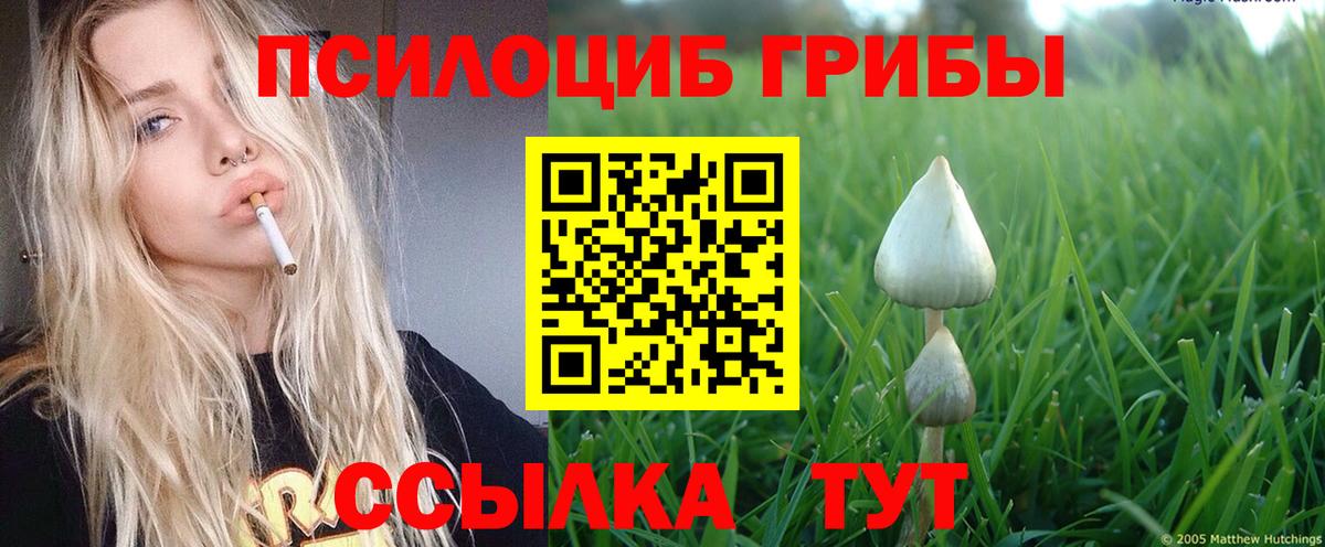Мытищи  Галлюциногенные грибы ЛСД  Вход с VPN 
