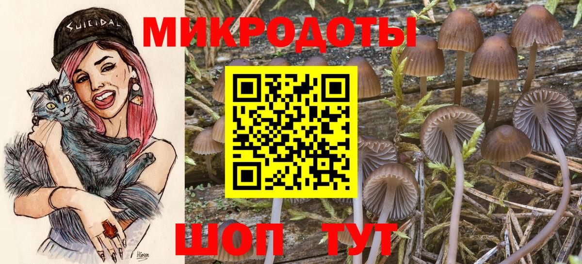 Псилоцибиновые грибы прущие грибы Мытищи